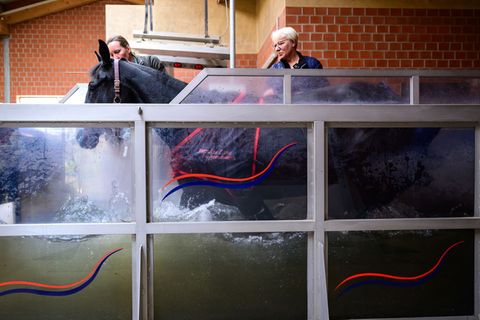 Das gelenkschonende Üben bei sanftem Widerstand bringe auch viel für die Kondition. Foto: Philipp Schulze/dpa