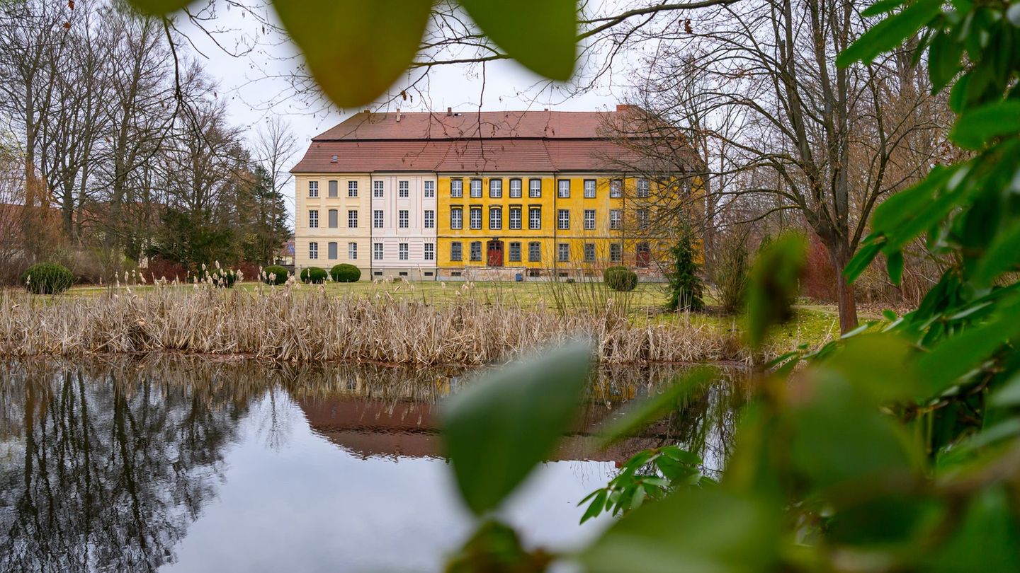 Stellenweise zieht in Berlin und Brandenburg Regen auf. (Symbolbild) Foto: Patrick Pleul/dpa/ZB