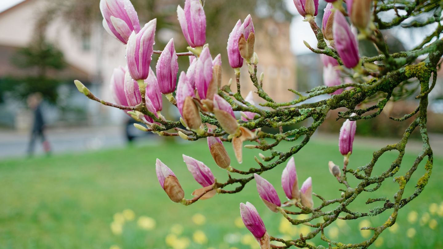 Die Sonne bleibt Baden-Württemberg noch etwas erhalten. (Symbolbild) Foto: Uwe Anspach/dpa