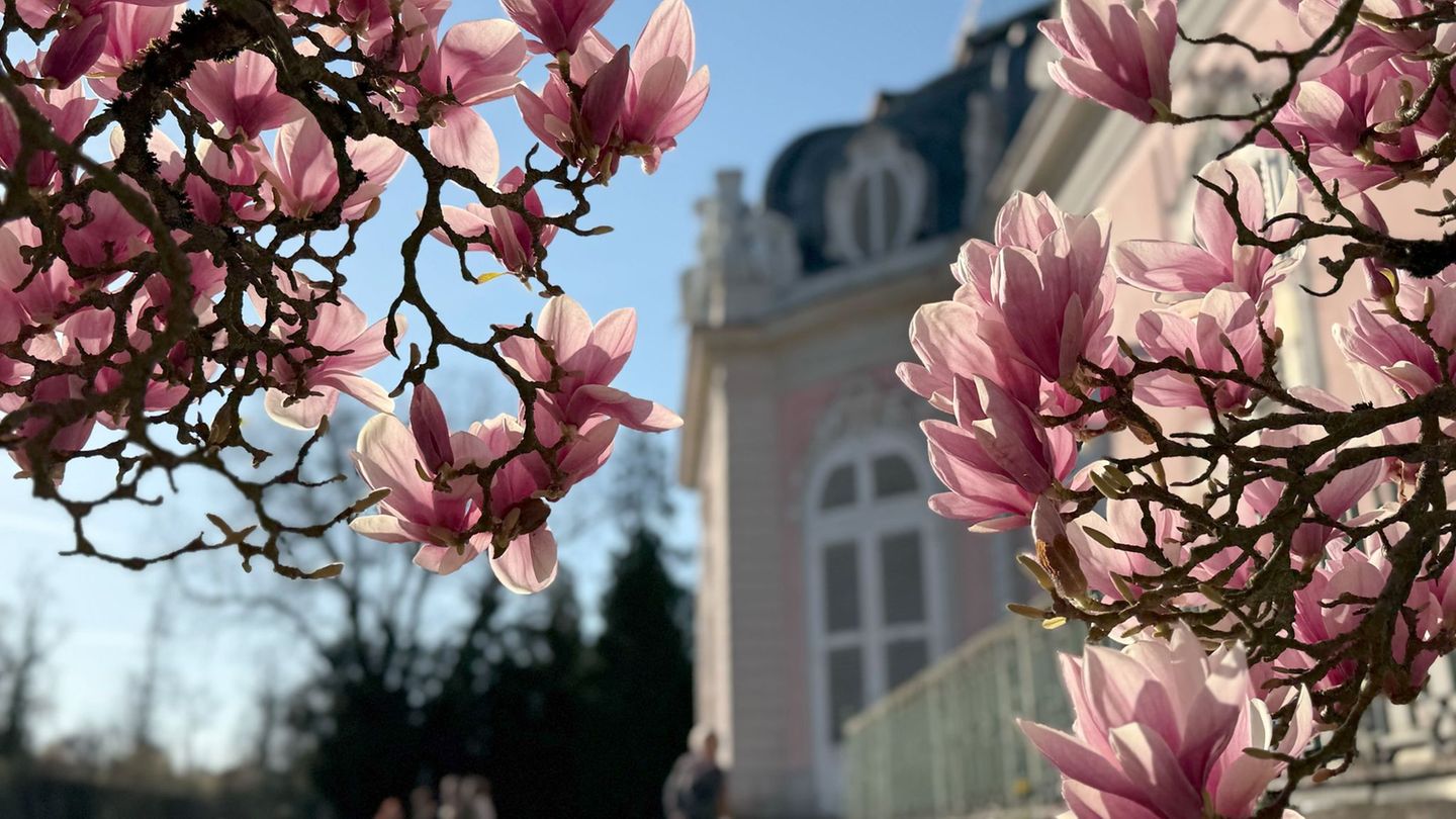 Auf Nordrhein-Westfalen wartet heute schönes Wetter. (Symbolbild) Foto: Wolf von Dewitz/dpa