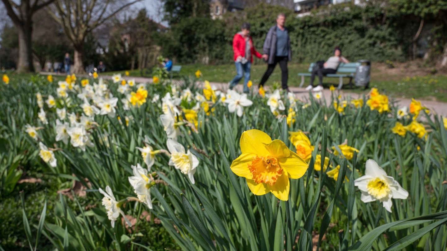 Das Wetter wird heute frühlingshaft. (Symbolbild) Foto: Oliver Dietze/dpa
