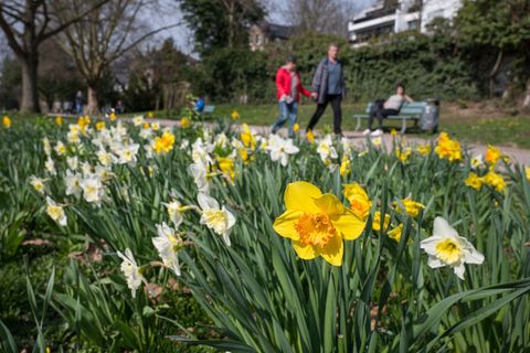 Das Wetter wird heute frühlingshaft. (Symbolbild) Foto: Oliver Dietze/dpa