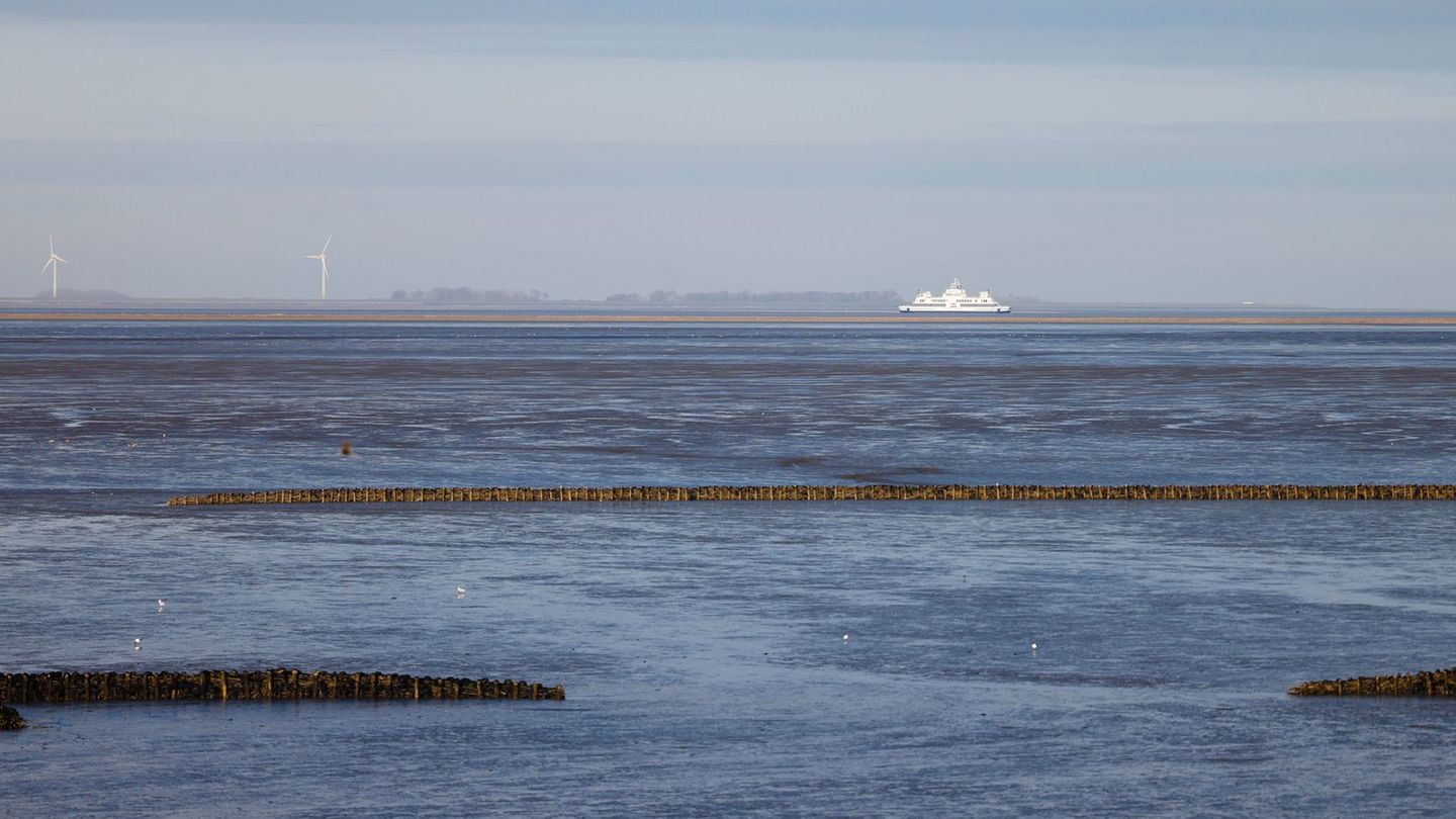 Die nächsten Tage zeigen sich im Norden überwiegend freundlich. (Symbolbild) Foto: Frank Molter/dpa
