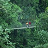 Das mittelamerikanische Land mit den atemberaubenden Regenwäldern ist nicht nur bei Touristen beliebt. Auch die Costa Ricaner selbst fühlen sich sehr wohl in ihrem Naturparadies.