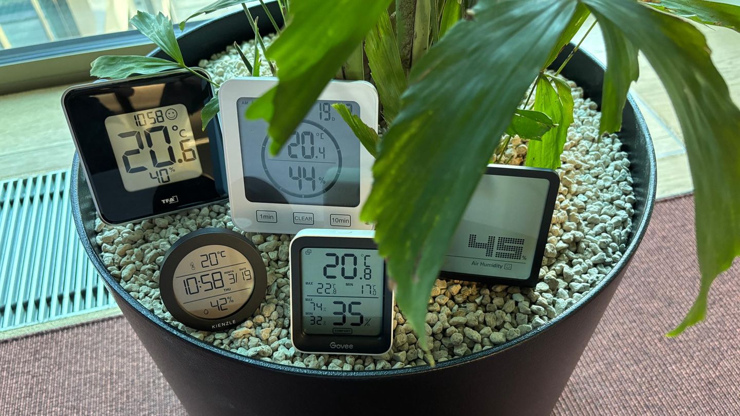 stern-Hygrometer-Test: Die fünf Testmodelle stehen in einem Pflanzkübel