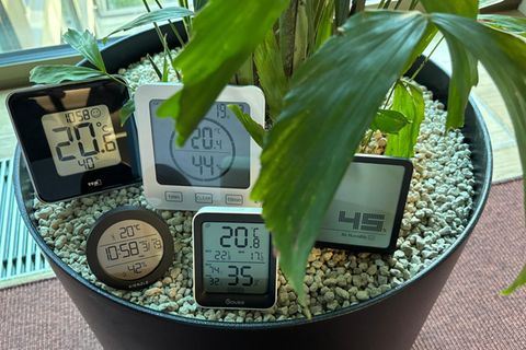 stern Hygrometer Test: Die fünf Testmodelle stehen in einem Pflanzkübel
