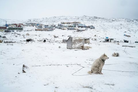 Blick auf grönländische Stadt Ilulissat