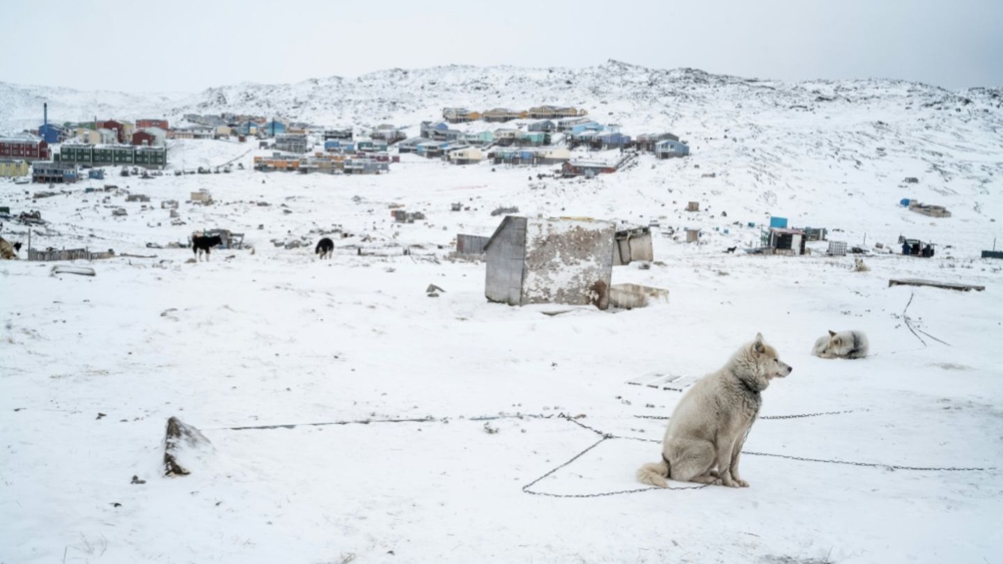 Blick auf grönländische Stadt Ilulissat