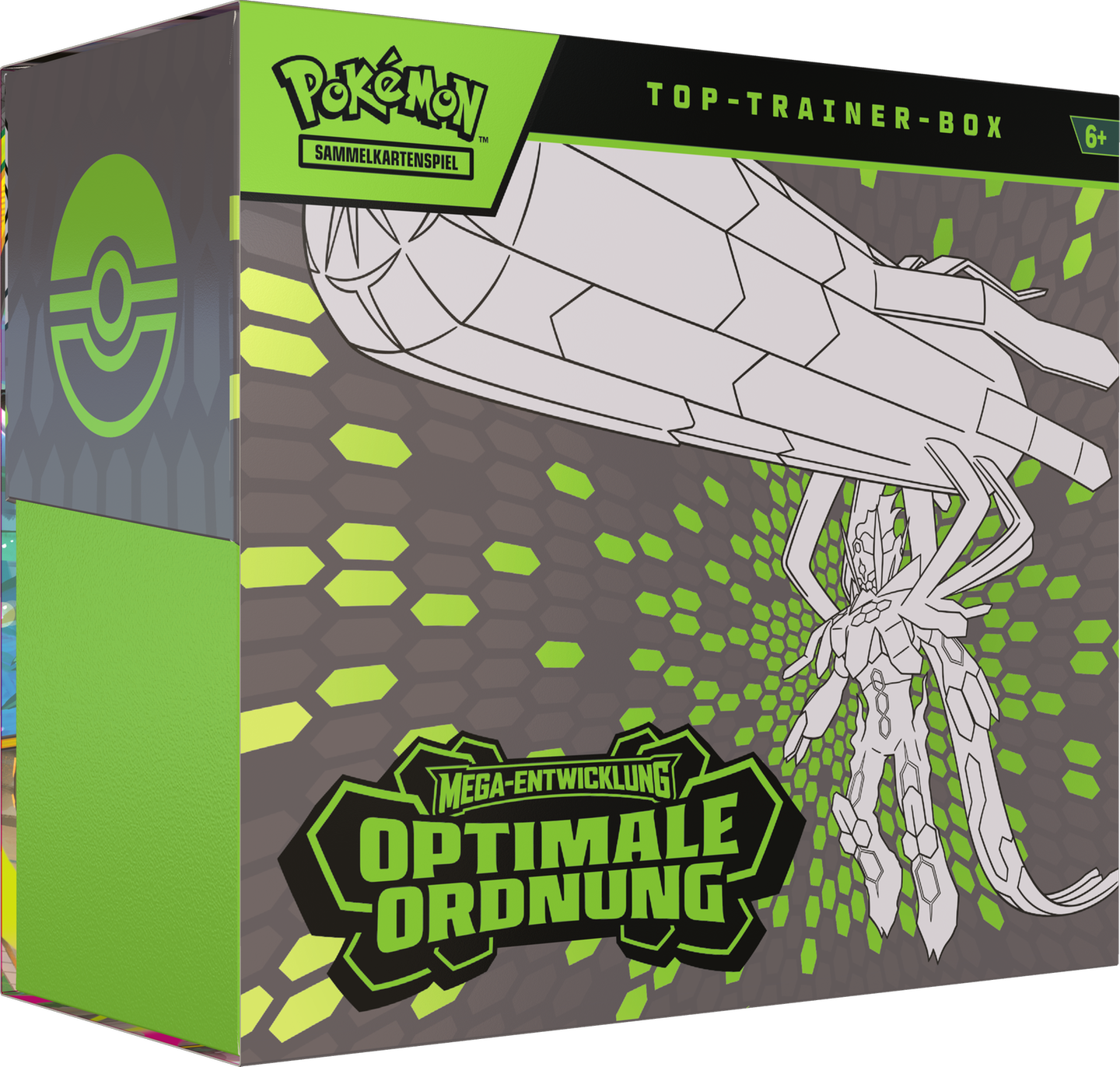 Top-Trainer-Box Optimale Ordnung