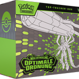 Top-Trainer-Box Optimale Ordnung