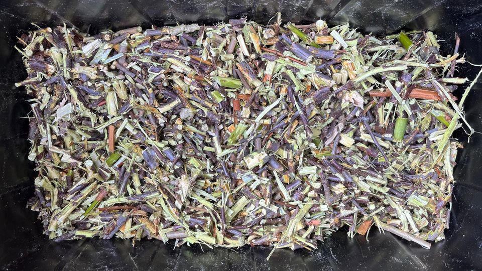 Hackschnitzel in der Nahaufnahme