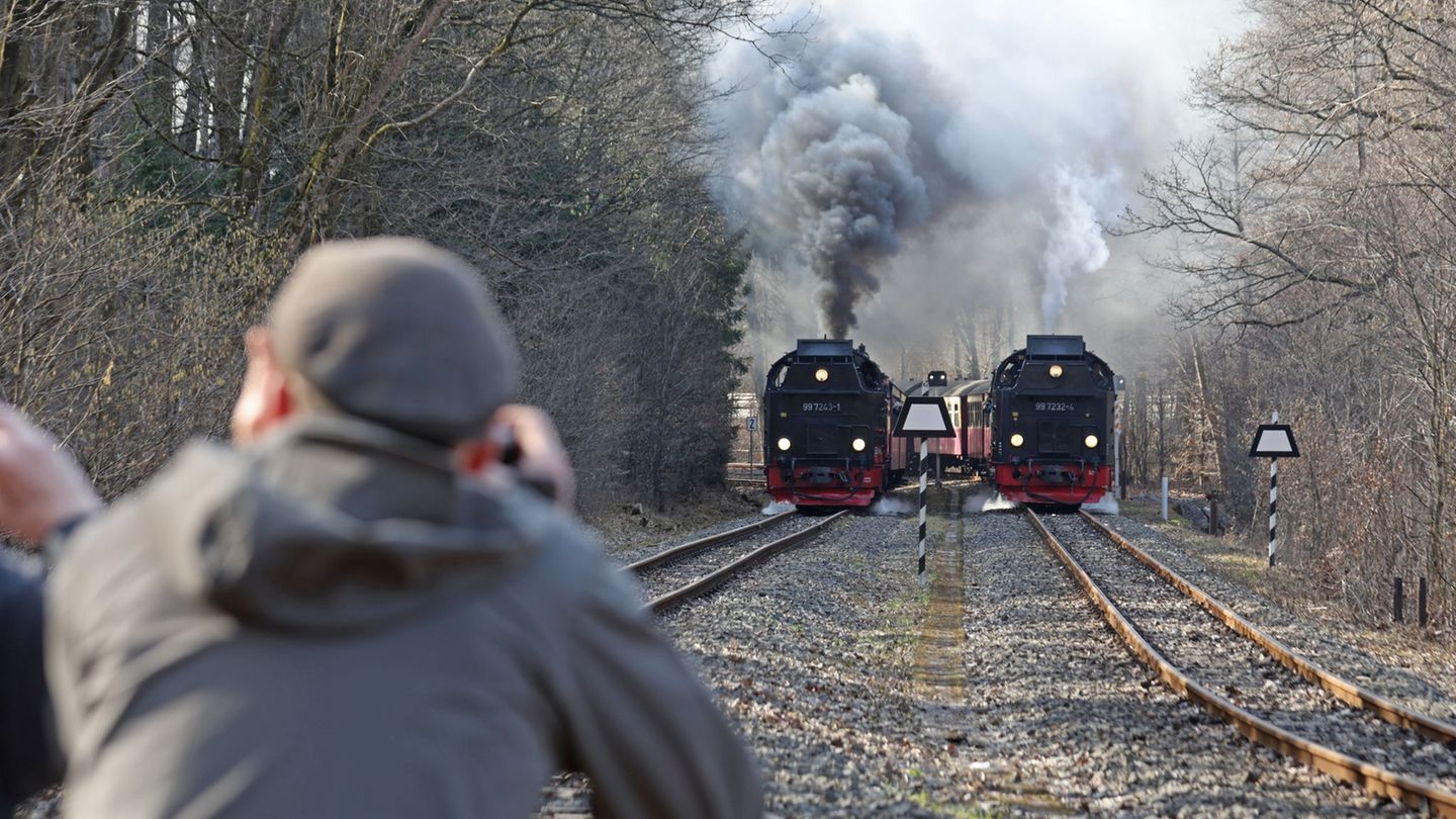 Sie sollen weiter rollen: die Harzer Schmalspurbahnen bekommen Geld für Gleissanierungen. (Archivbild) Foto: Matthias Bein/dpa