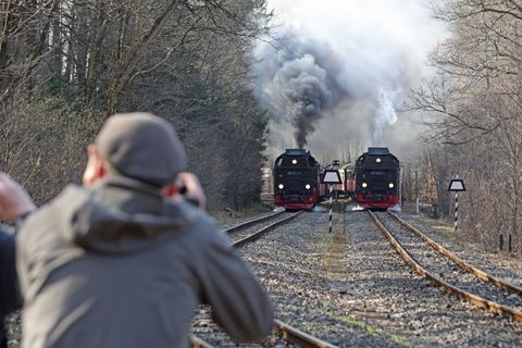 Sie sollen weiter rollen: die Harzer Schmalspurbahnen bekommen Geld für Gleissanierungen. (Archivbild) Foto: Matthias Bein/dpa