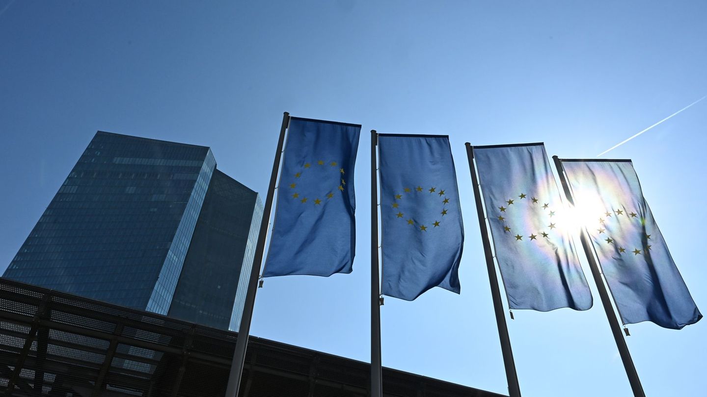 Der EZB-Rat hält die Leitzinsen im Euroraum seit Monaten unverändert. Foto: Michael Brandt/dpa