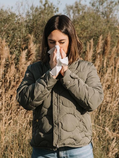 Heuschnupfen: Verschiebung der Allergie-Saison – welche Pollen fliegen wann?