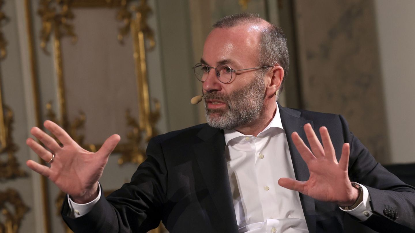 Manfred Weber grenzt sich erneut gegen die AfD ab. Foto: Karl-Josef Hildenbrand/dpa