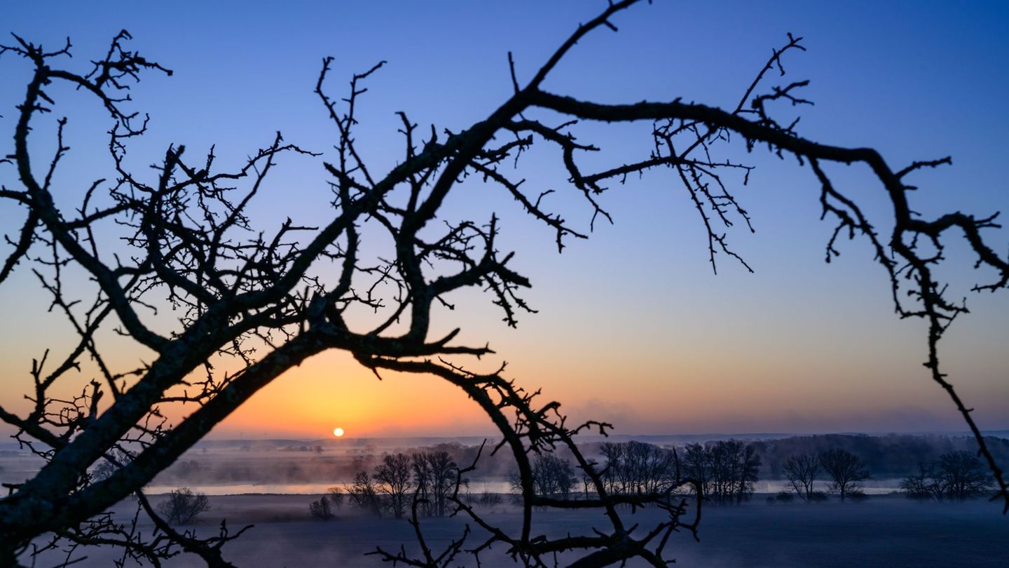 Nach einem grauen Start ins Wochenende zeigt sich am Sonntag in Berlin und Brandenburg wieder häufiger die Sonne. Foto: Patrick