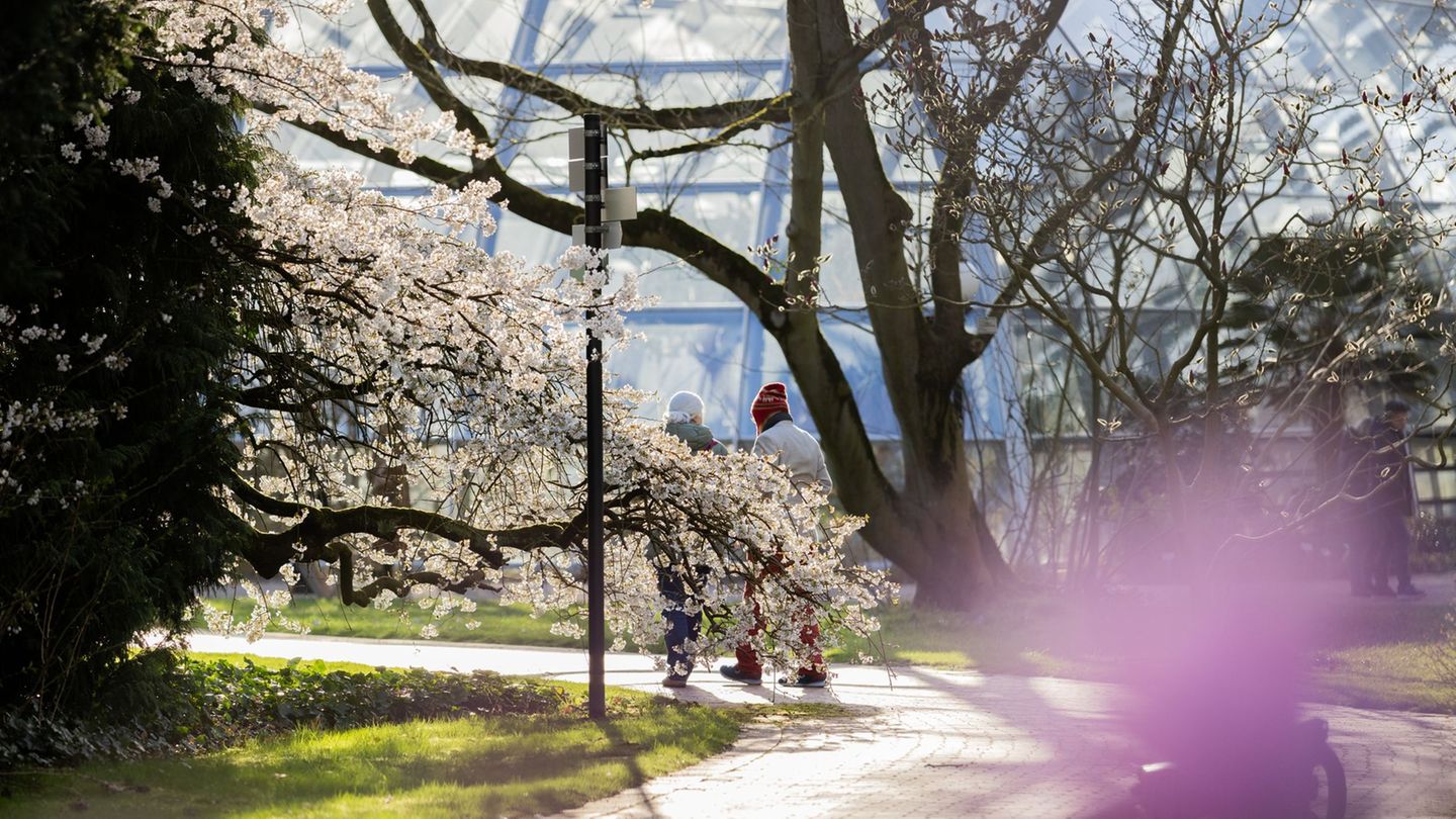 Am Wochenende bleibt das Wetter in NRW frühlingshaft. (Archivbild) Foto: Rolf Vennenbernd/dpa
