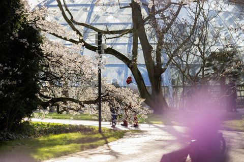 Am Wochenende bleibt das Wetter in NRW frühlingshaft. (Archivbild) Foto: Rolf Vennenbernd/dpa