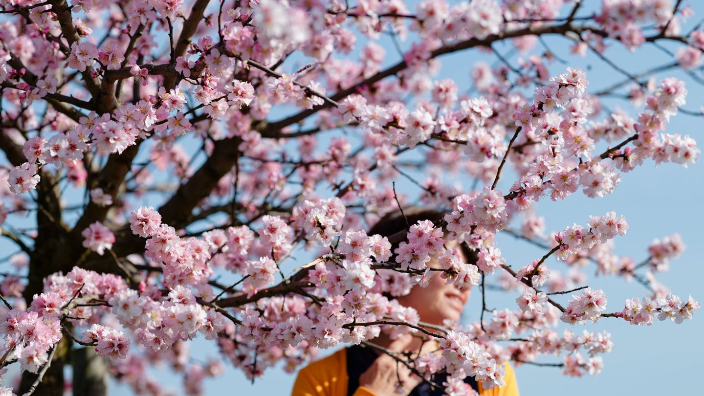Am Wochenende bleibt es weitestgehend sonnig. Foto: Uwe Anspach/dpa