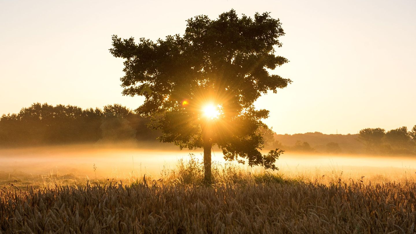 In Hamburg und Schleswig-Holstein wird der Start in das Wochenende trüb, dann kommt am Sonntag die Sonne heraus. (Symbolbild) Fo