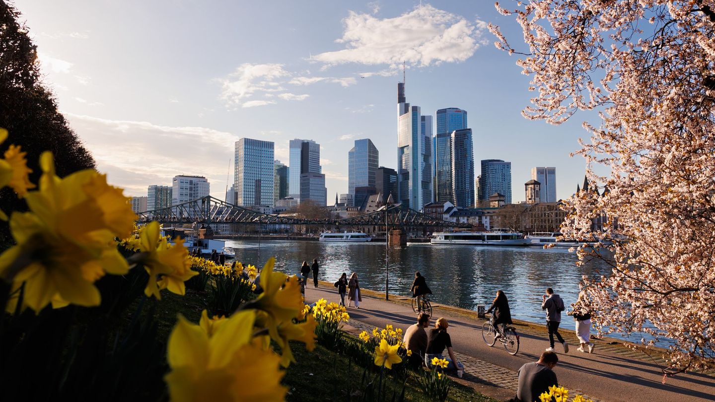 Die Stadt plant den Kauf der ehemaligen Vogelschutzwarte. (Symbolbild) Foto: Lando Hass/dpa