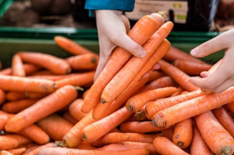 2025 wurden deutlich mehr Möhren in Sachsen-Anhalt geerntet. (Archivbild) Foto: Frank Hammerschmidt/dpa