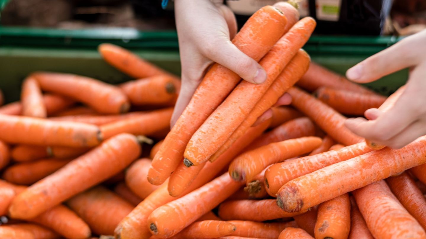2025 wurden deutlich mehr Möhren in Sachsen-Anhalt geerntet. (Archivbild) Foto: Frank Hammerschmidt/dpa