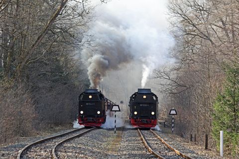 Auf der Harzquerbahn wird vom 23. März an für zehn Tage gebaut. (Archiv) Foto: Matthias Bein/dpa