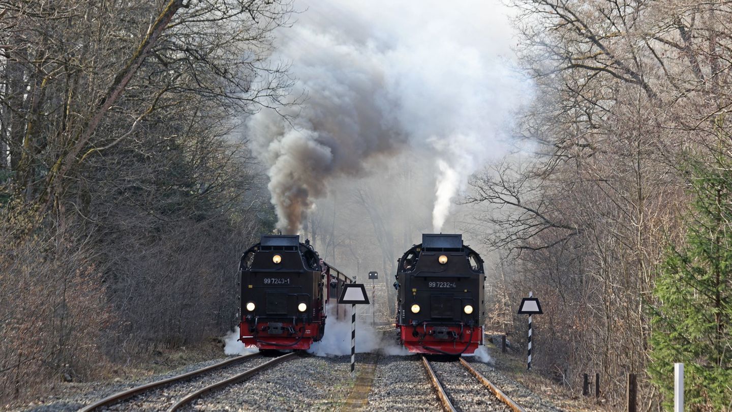 Auf der Harzquerbahn wird vom 23. März an für zehn Tage gebaut. (Archiv) Foto: Matthias Bein/dpa