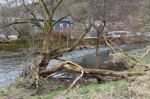 Ein Junge einer Kita war am Dienstag beim Spielen in den Fluss gefallen. Er musste reanimiert werden. Foto: Berthold Stamm/dpa