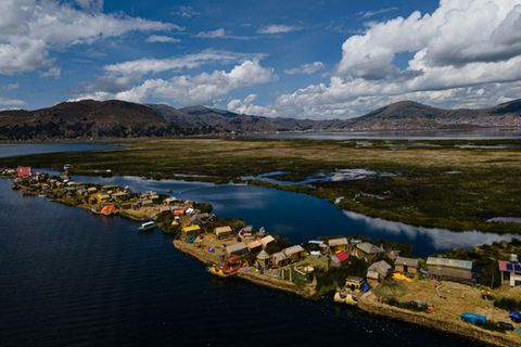 Alles aus Schilfrohr