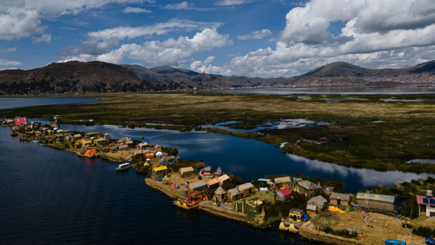 Alles aus Schilfrohr