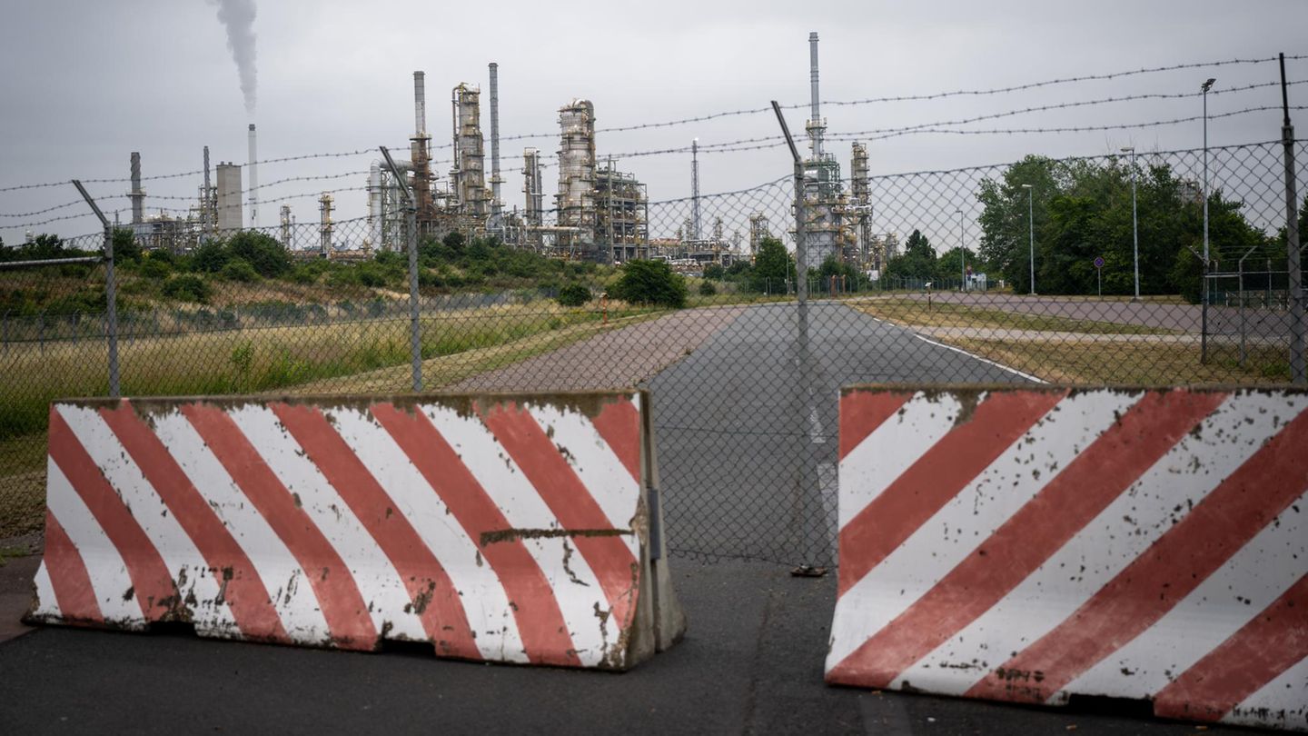 Tore zum Chemiepark Leuna – der Geschäftsführer Christoph Günther zieht düstere Prognosen aufgrund der gestiegenen Gaspreise
