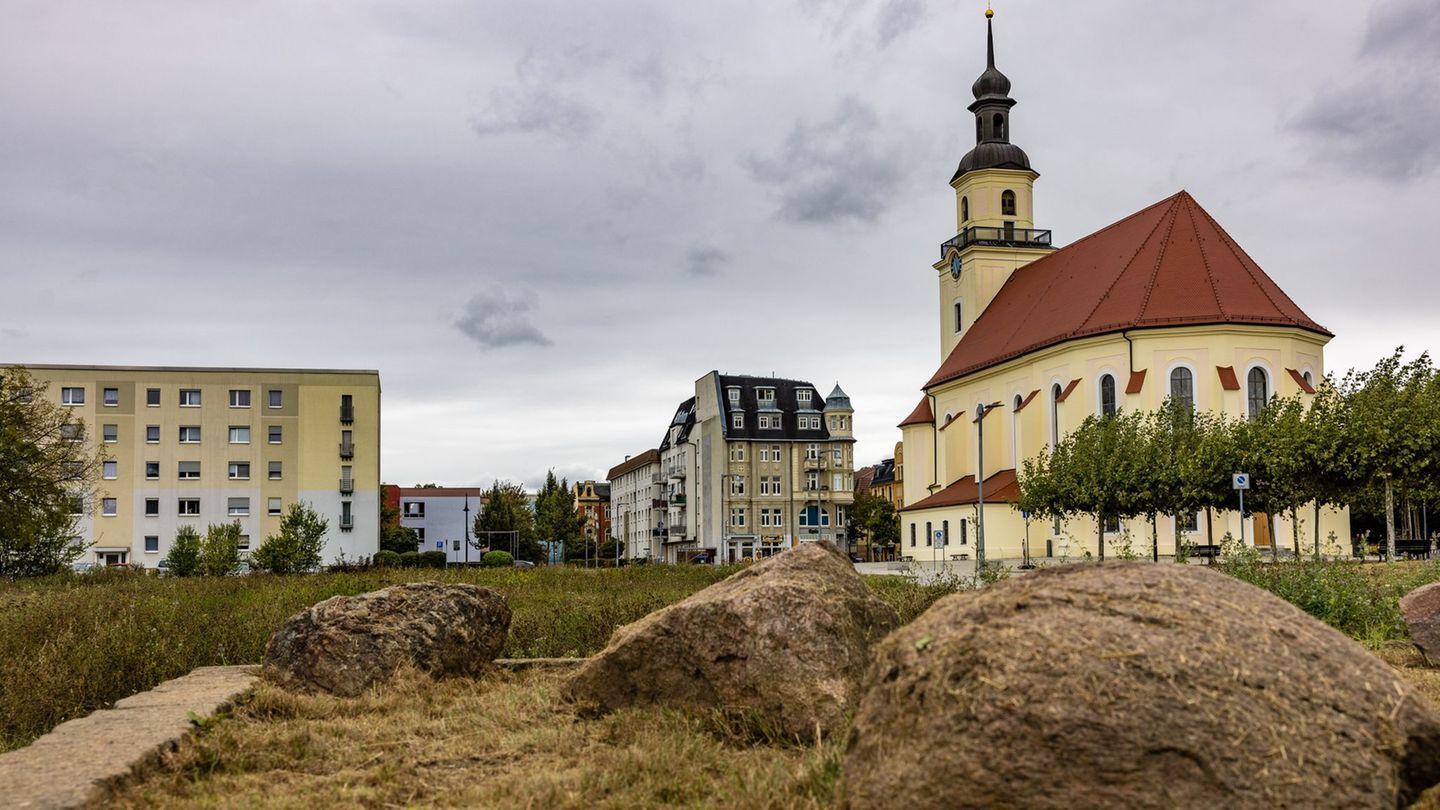 Im Landkreis Spree-Neiße mit der Kreisstadt Forst (Lausitz) wird ein neuer Landrat gewählt (Archivbild). Foto: Frank Hammerschmi