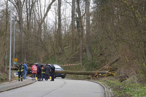 Der Fahrer starb noch an der Unfallstelle an seinen schweren Verletzungen. Foto: Andreas Rosar/dpa