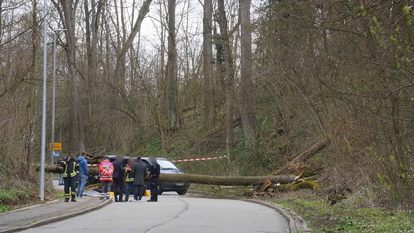 Der Fahrer starb noch an der Unfallstelle an seinen schweren Verletzungen. Foto: Andreas Rosar/dpa