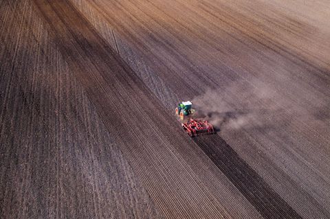 25.000 Menschen arbeiten in MV in der Landwirtschaft. Foto: Jens Büttner/dpa