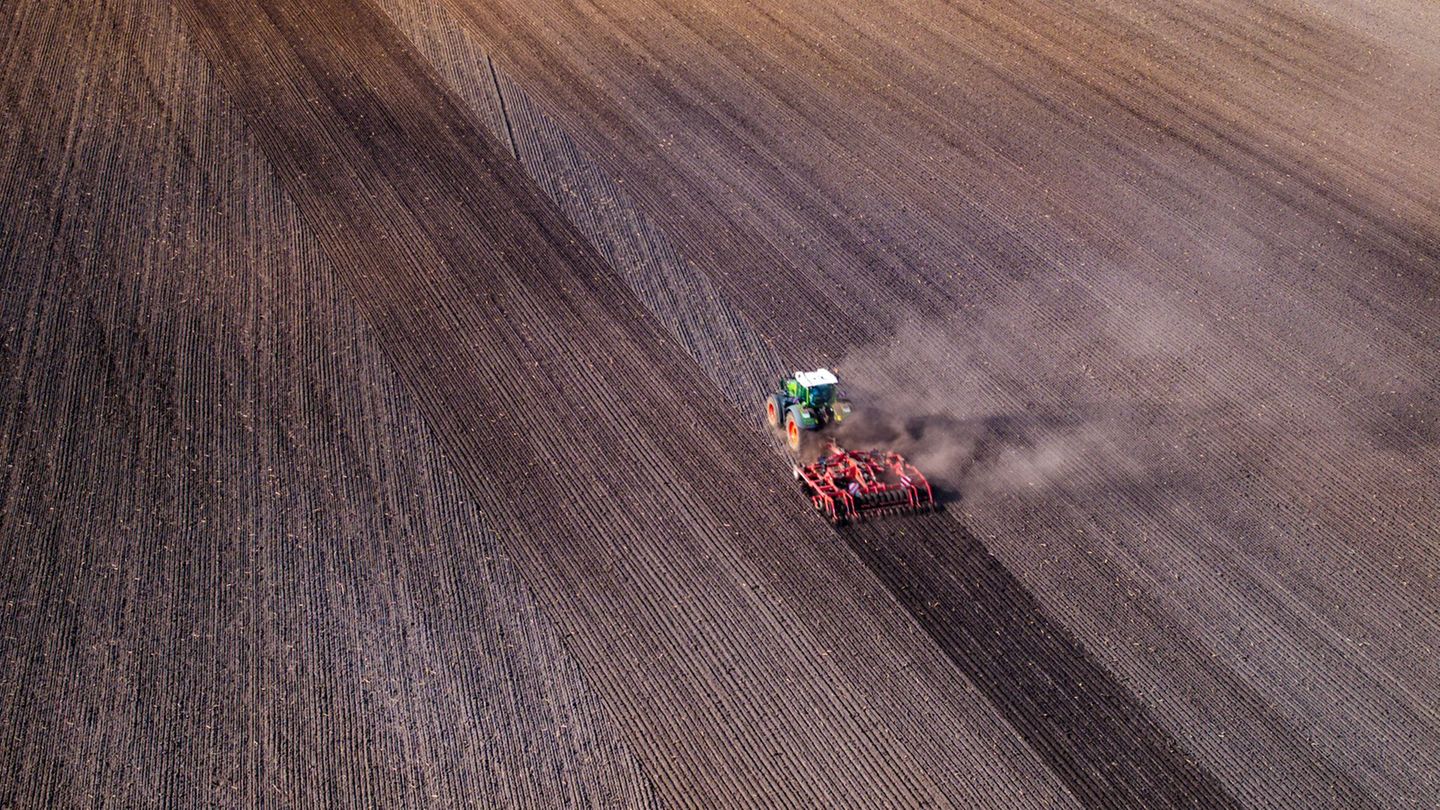 25.000 Menschen arbeiten in MV in der Landwirtschaft. Foto: Jens Büttner/dpa