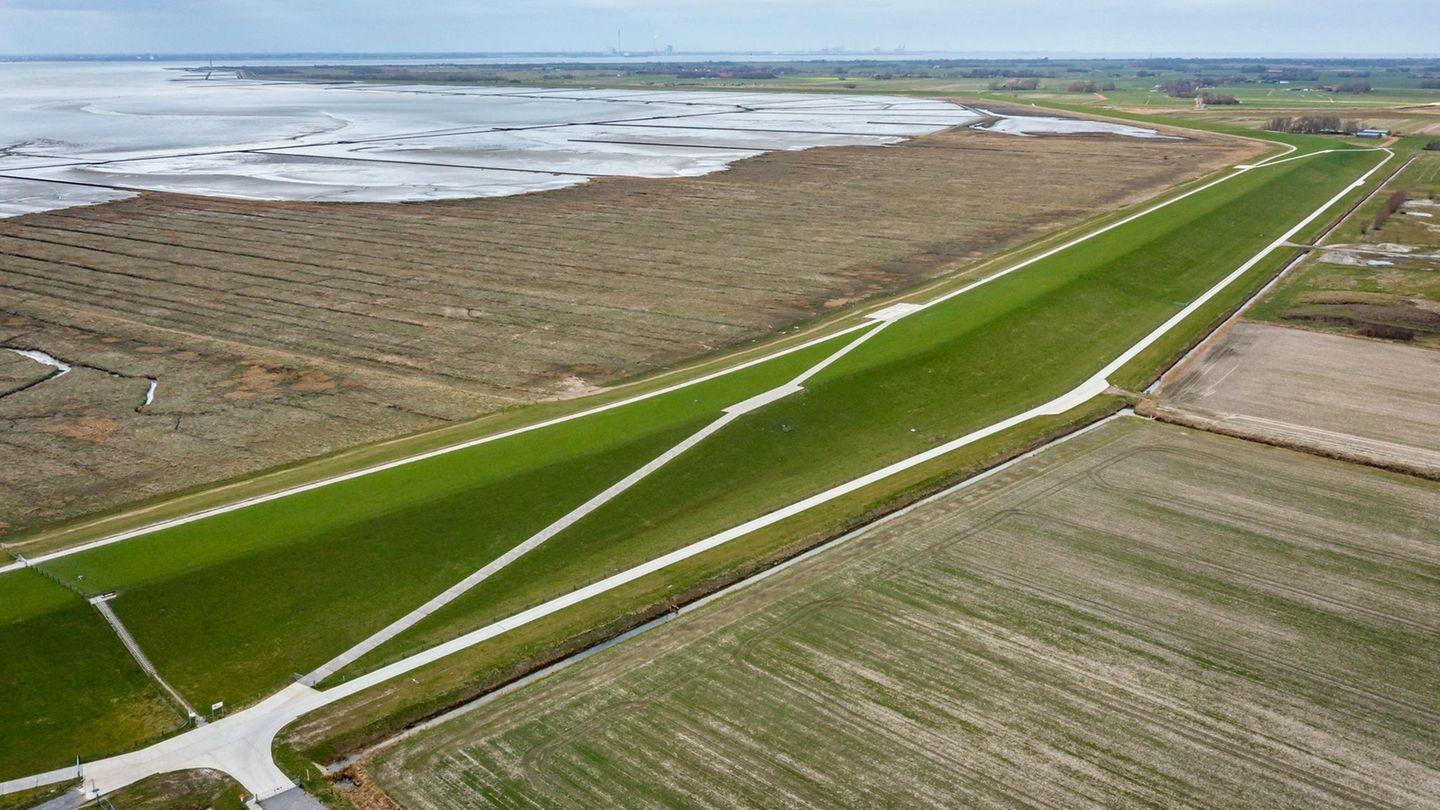 Niedersachsen investiert weiter in den Deichschutz. (Symbolbild) Foto: Sina Schuldt/dpa