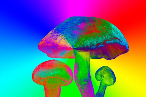 Depression überwinden: Zauberpilze in Großaufnahme, in psychedelische Farben gehüllt