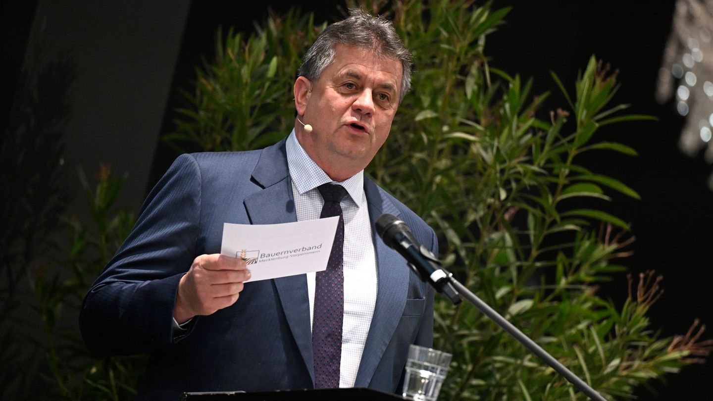 Vor allem Düngemittel seien extrem teuer geworden, sagt MV-Bauernpräsident Trunk. (Archivbild) Foto: Philip Dulian/dpa