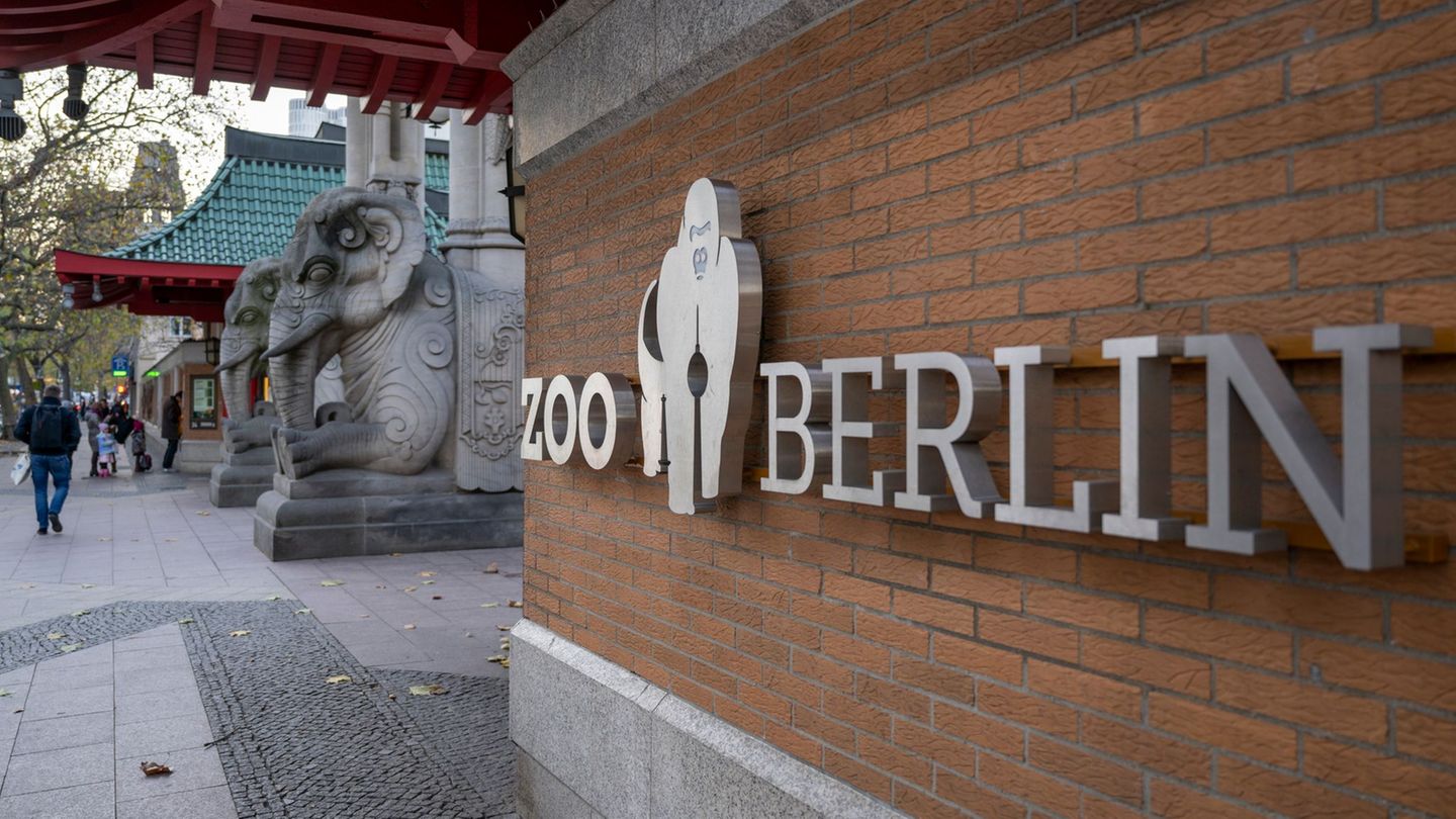 Im Berliner Zoo wurde die Newcastle-Krankheit nachgewiesen (Archivbild) Foto: Monika Skolimowska/dpa