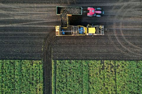 Steigende Düngerpreise setzen Landwirte in Sachsen-Anhalt unter Druck. (Archivbild) Foto: Jan Woitas/dpa