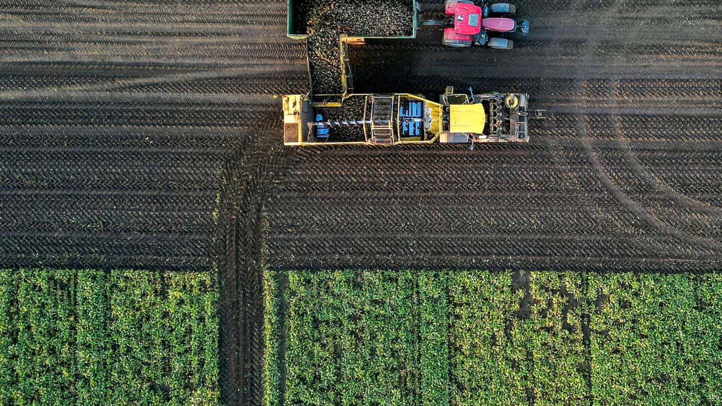 Steigende Düngerpreise setzen Landwirte in Sachsen-Anhalt unter Druck. (Archivbild) Foto: Jan Woitas/dpa