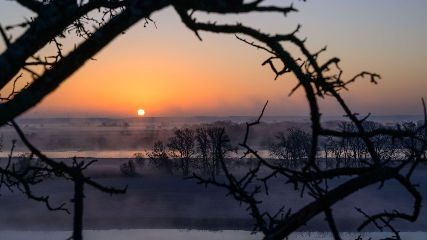 Am Morgen wird es in Berlin und Brandenburg frostig, später zeigt sich die Sonne. (Symbolbild) Foto: Patrick Pleul/dpa