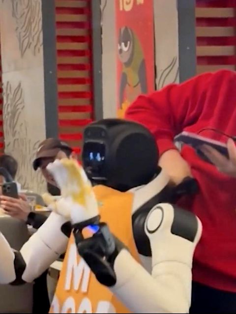Tanzender Restaurant-Roboter gerät völlig außer Kontrolle