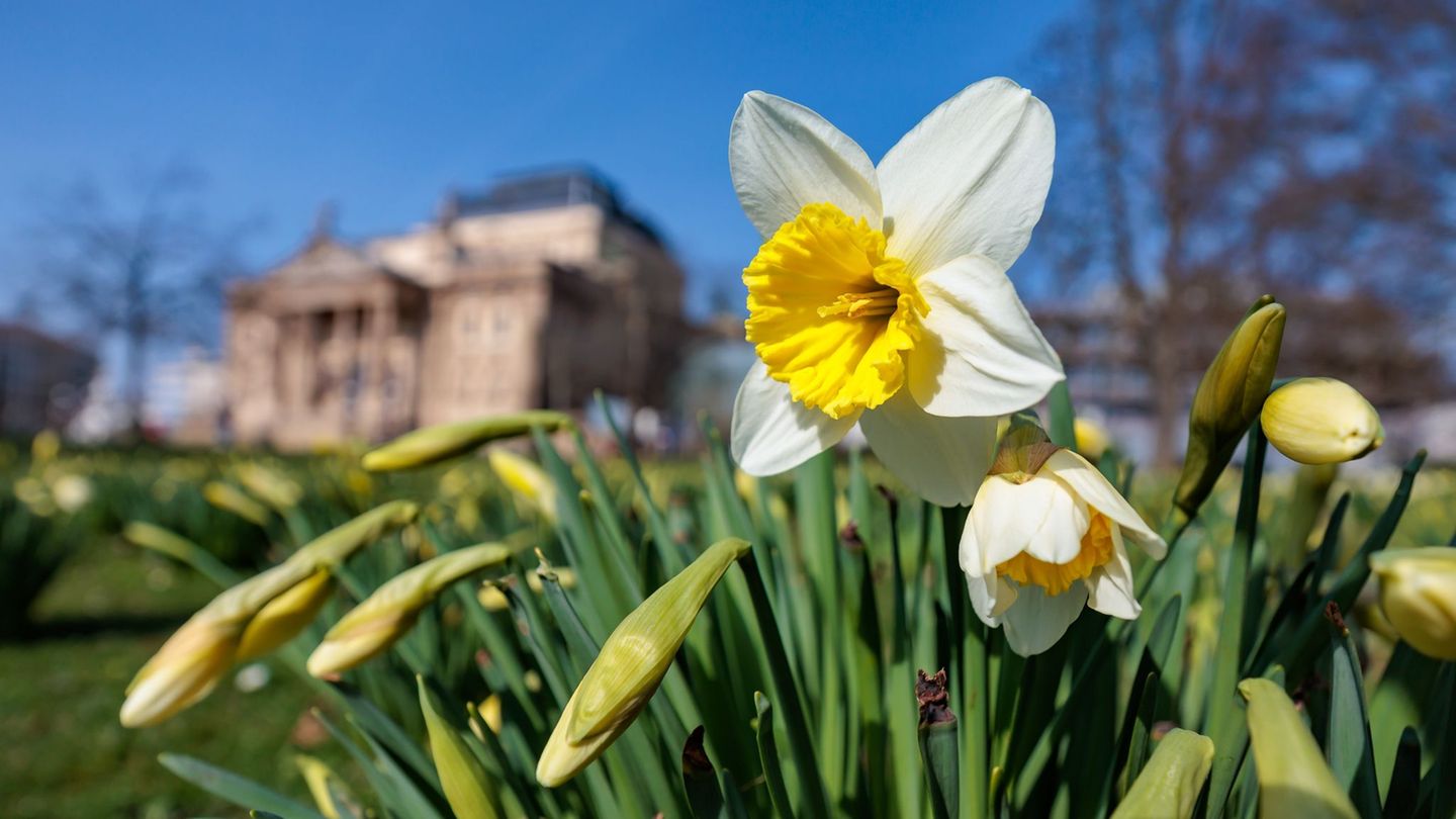 Heiter bis sonnig und frühlingshaft wird das Wetter am Wochenende vielerorts in Hessen. Im Tagesverlauf sind einzelne Schauer mö