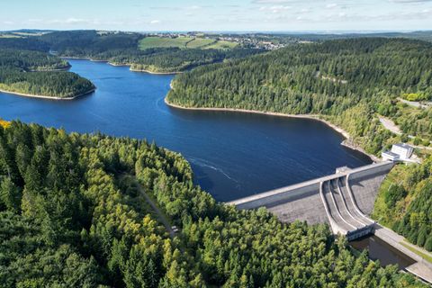 Forstminister: Gesunde Wälder sichern Jobs und Klimaschutz. (Archivbild) Foto: Hendrik Schmidt/dpa