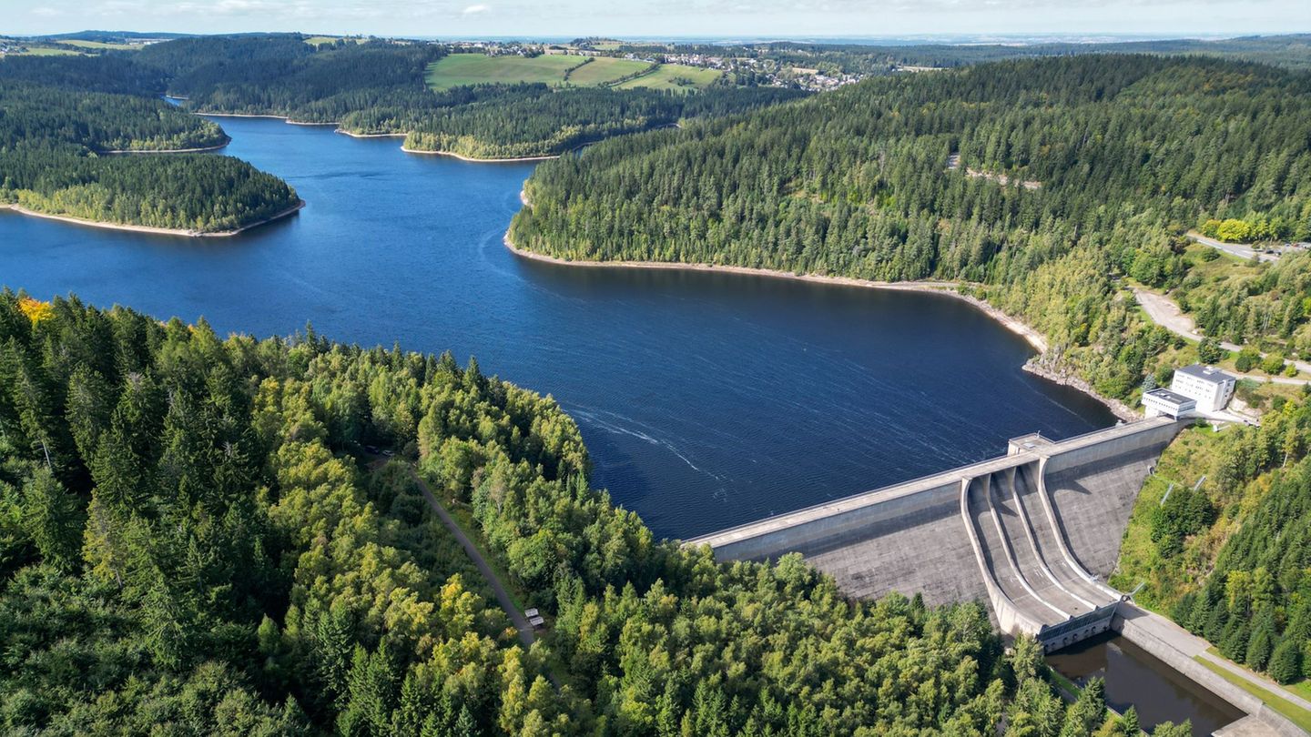 Forstminister: Gesunde Wälder sichern Jobs und Klimaschutz. (Archivbild) Foto: Hendrik Schmidt/dpa